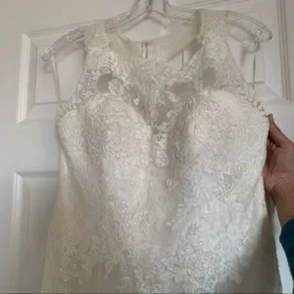 Pronovias Draconia Wedding Dress - Picture 8 of 13